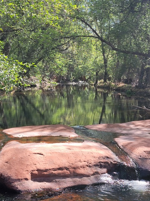 OnlyFans başlık resmi swedishmustangsally