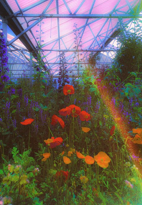 Imagem do cabeçalho do OnlyFans de sweetmissmea