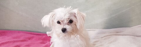 Снимка за заглавие на OnlyFans sweetprovocativ