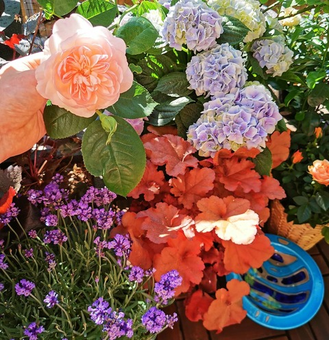 Снимка за заглавие на OnlyFans sweginger