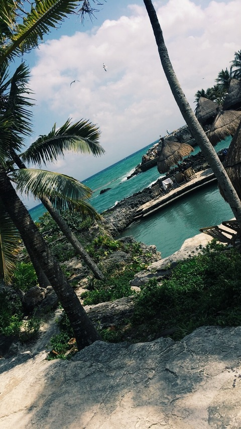 OnlyFans header picture syd2003