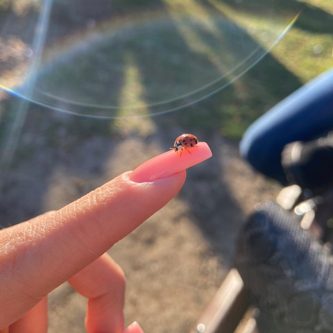 صورة رأس OnlyFans tabithababy