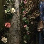 Аватар профиля OnlyFans tammywynette