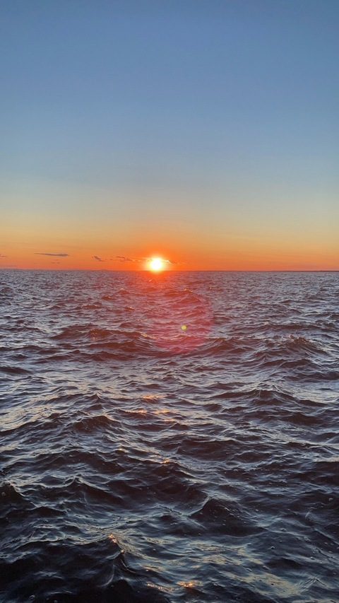 Immagine dell'header di OnlyFans tattedbkbttm_13