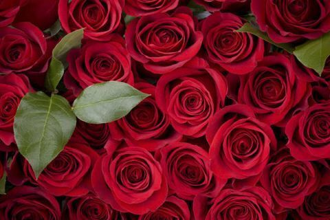 OnlyFans header picture tattedmami407