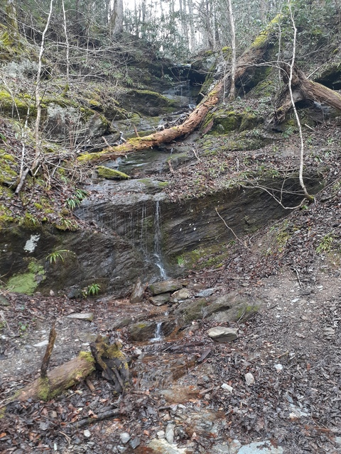 Gambar header OnlyFans thatsstoner