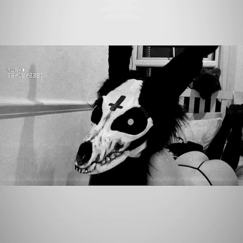 Photo d'en-tête OnlyFans de thelewdbunny