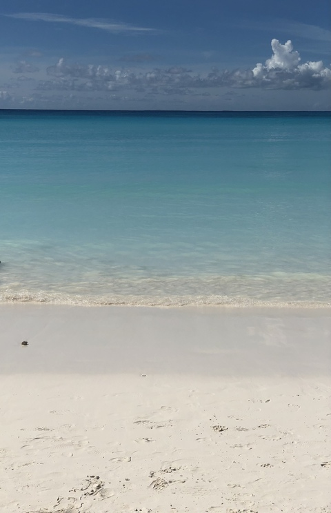 OnlyFans header picture themillzyway