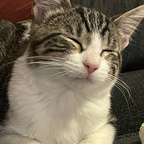 Профилна снимка на OnlyFans на theprincessb