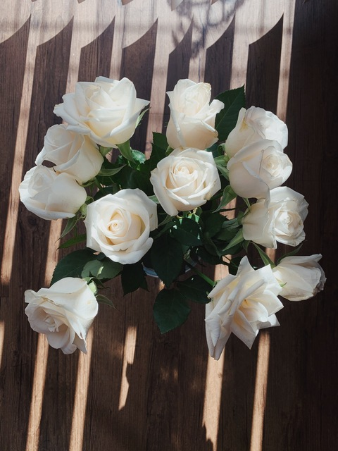 Снимка за заглавие на OnlyFans theprincessb