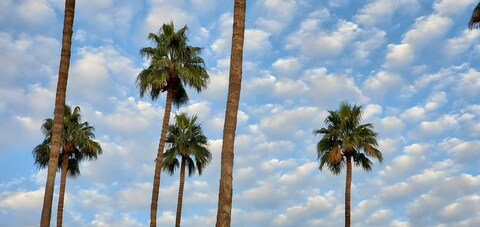 ओन्लीफैंस हैडर चित्र therykers