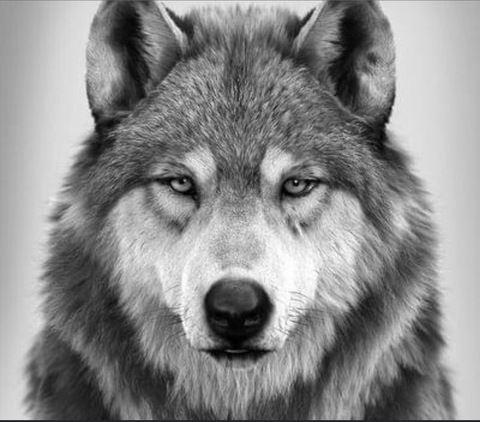 OnlyFans header picture thetidland