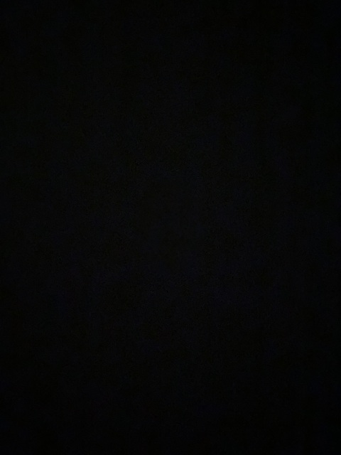 thicckfilaaa님의 OnlyFans 헤더 사진