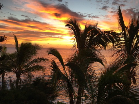 Imagem do cabeçalho do OnlyFans de thishappyhippie