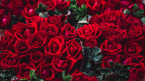 ओन्लीफैंस हैडर चित्र thisiscaroline