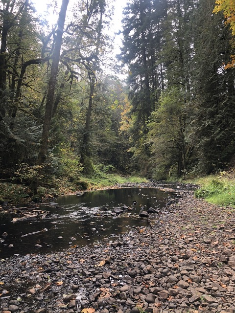 Header afbeelding van OnlyFans tirzahprincess