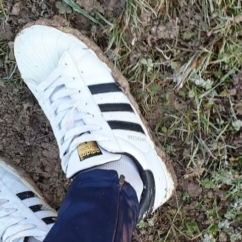 ओन्लीफैंस हैडर चित्र tomfetishboy