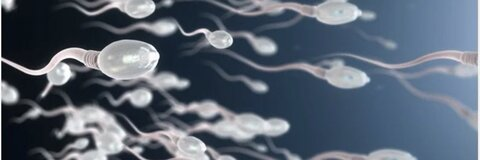 ओन्लीफैंस हैडर चित्र top_bbk_paris