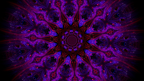 trans_qveen님의 OnlyFans 헤더 사진