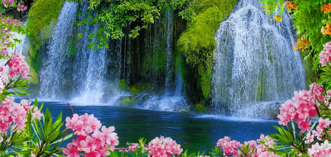 ओन्लीफैंस हैडर चित्र transgoddess4