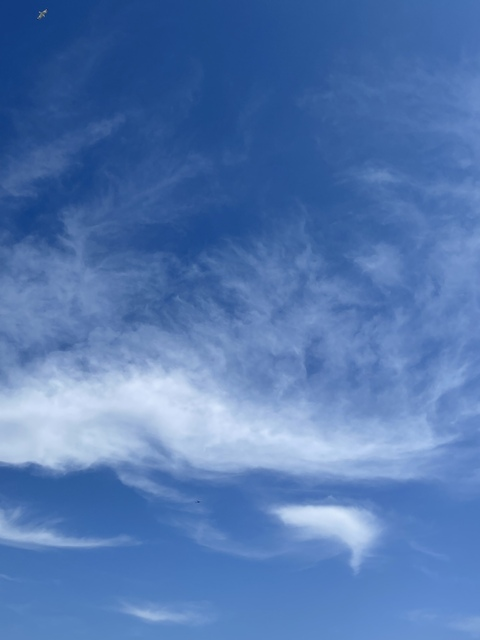 Снимка за заглавие на OnlyFans twinkgetsnaked