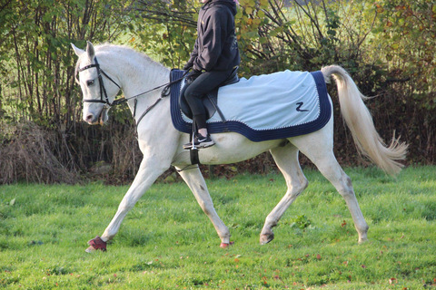 Imagen de encabezado de OnlyFans u164676892