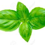 OnlyFans profile picture u21349926