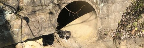 Imagen de encabezado de OnlyFans undreamed