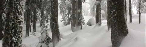 urfairyfaee님의 OnlyFans 헤더 사진