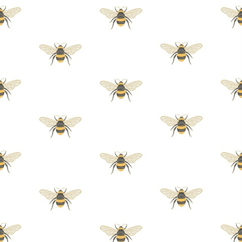 veeandpolen님의 OnlyFans 헤더 사진