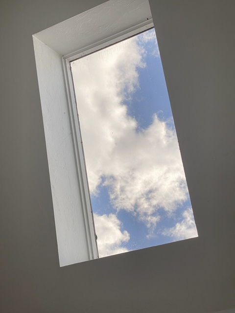 ओन्लीफैंस हैडर चित्र venus_inreverse