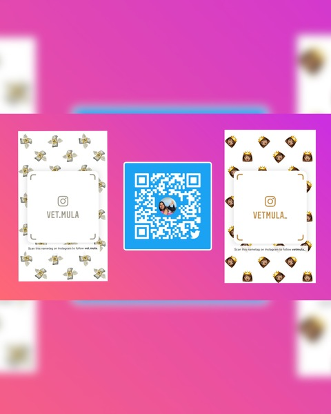 OnlyFans header picture vetmula