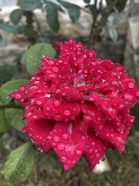 Фото заголовка OnlyFans vicariousfuck