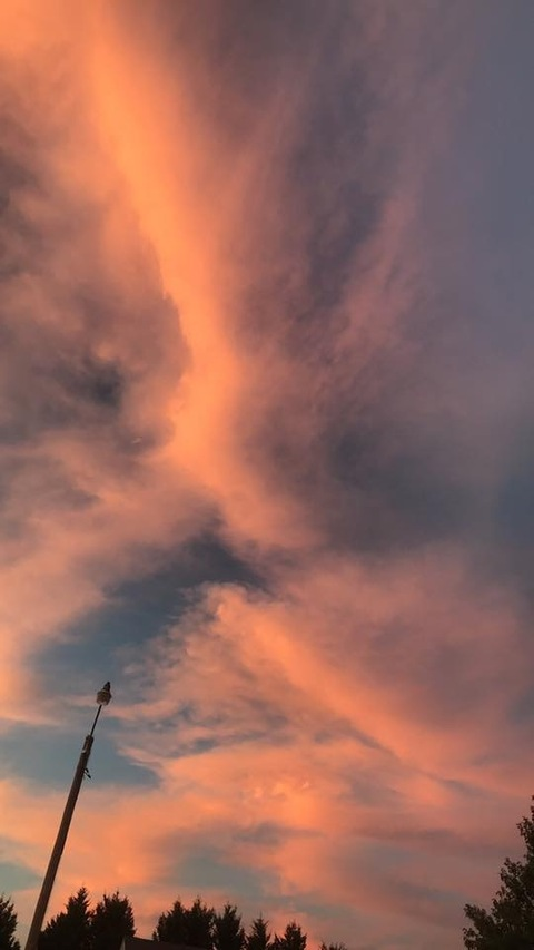 OnlyFans header picture victoriaxxx420