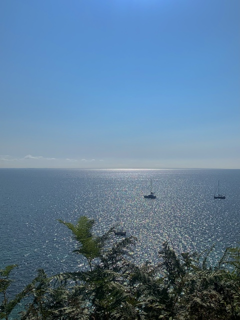 ओन्लीफैंस हैडर चित्र vinsotanna