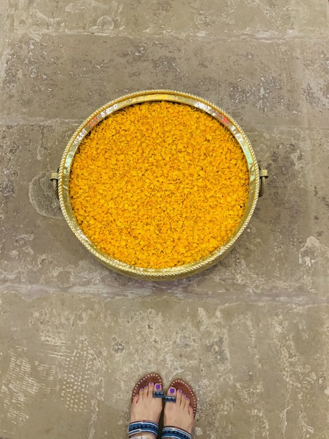 ओन्लीफैंस हैडर चित्र vivashiva