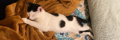 Снимка за заглавие на OnlyFans wavydayze