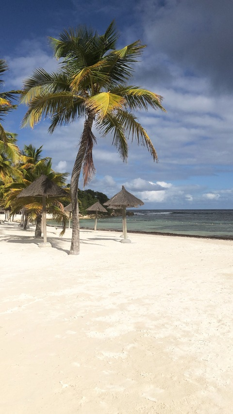 Photo d'en-tête OnlyFans de westindiesflavour