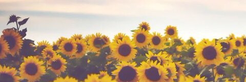 OnlyFans header picture whitpb1