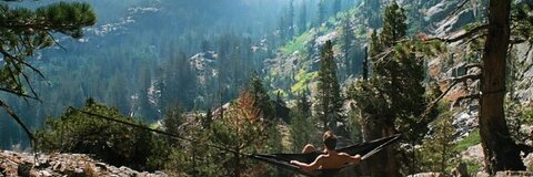 Imagen de encabezado de OnlyFans whoislogan