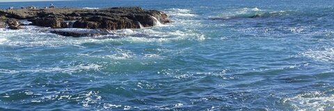 OnlyFans header picture wildkat888