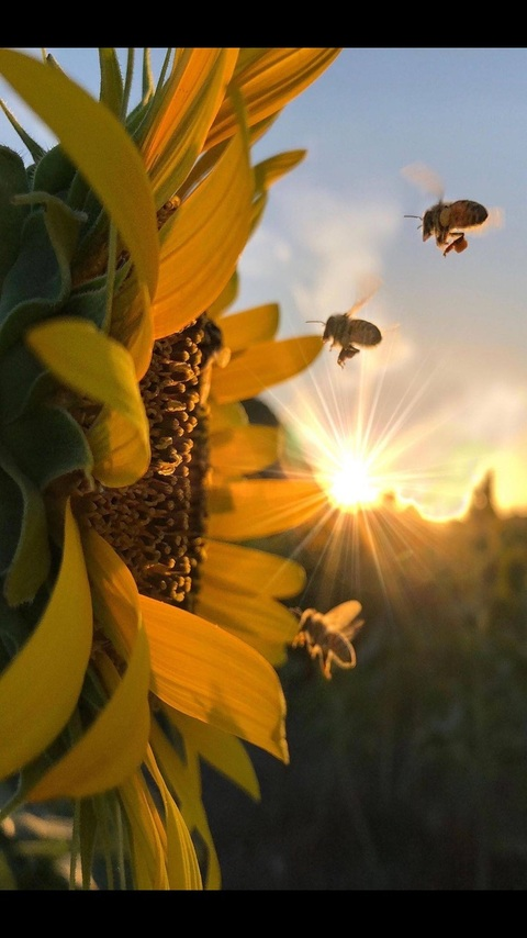 صورة رأس OnlyFans wtf_sarah