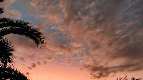 Снимка за заглавие на OnlyFans xinnn.a