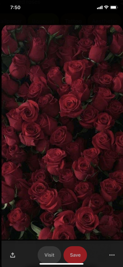 Header afbeelding van OnlyFans xo__koko69