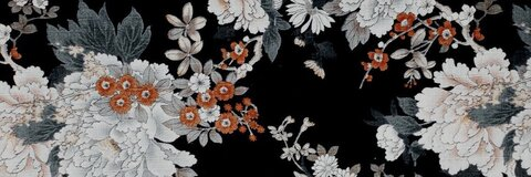 OnlyFans header picture xoxo_yuri