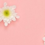 OnlyFans profile picture xoxoxoxo11