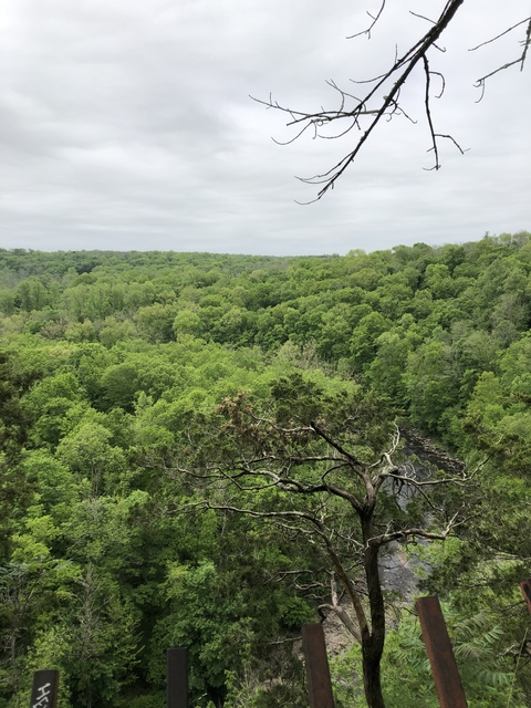 Снимка за заглавие на OnlyFans xpancakexx