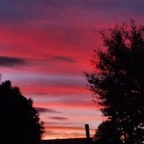 OnlyFans प्रोफाइल चित्र yarella