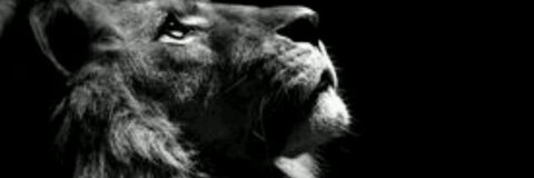 Header afbeelding van OnlyFans youngandgifted69