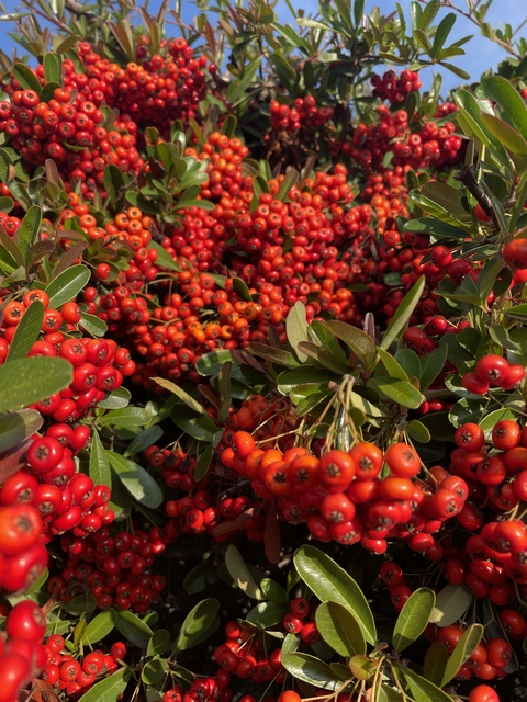 Immagine dell'header di OnlyFans yourtokengirl